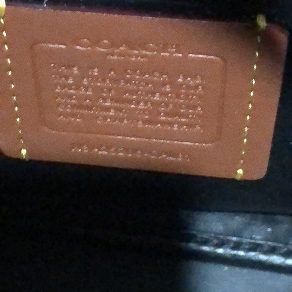 Coach Hadley Mini Straw Woven and Pebbled Leather Crossbody Bag EUC - Picture 11 of 11